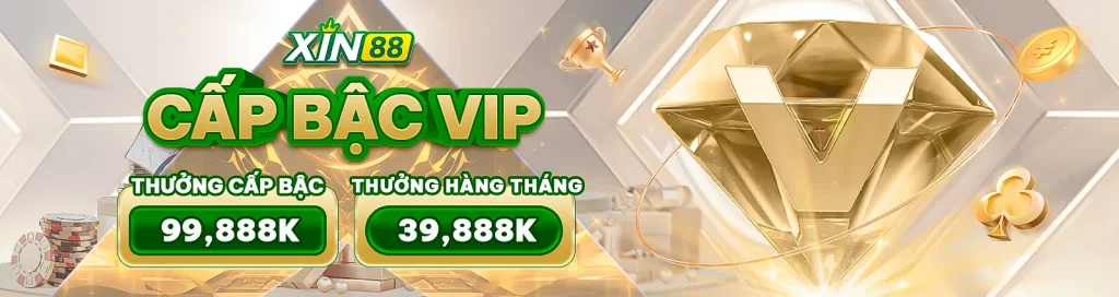 xin88 banner